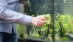 Как самостоятельно почистить аквариум: пошаговая инструкция 