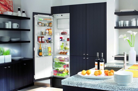 Какой холодильный шкаф выбрать для дома: виды и характеристики