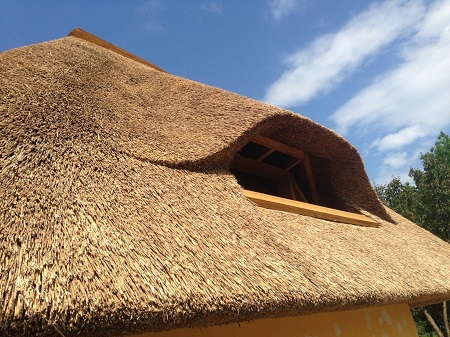 Крыша из камыша для дома в Тюмени: устройство, преимущества и этапы укладки