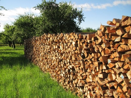 Советы по выбору дров для бани: особенности и сравнение